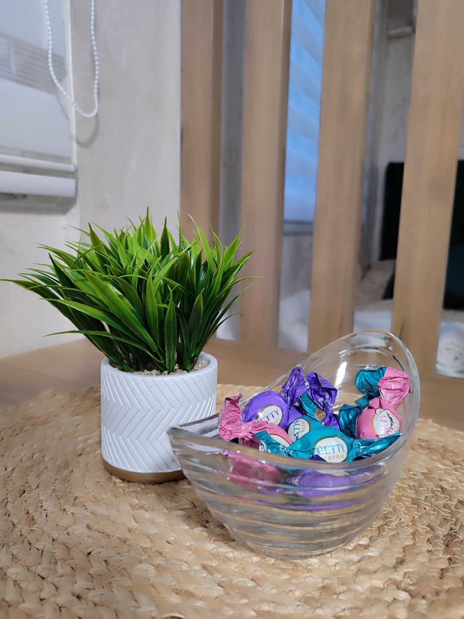 Studio Apartman Free Parking Rubikon Belgrad Pokój zdjęcie